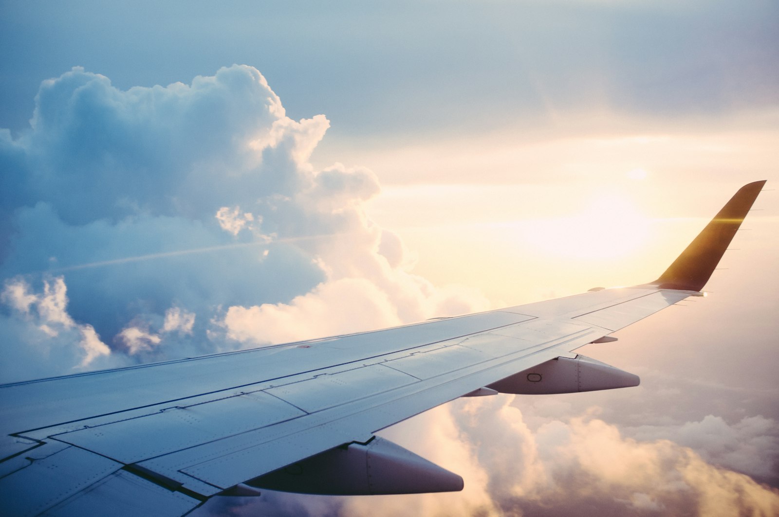 Hadey Travels Global
